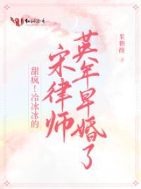 宋律师追妻